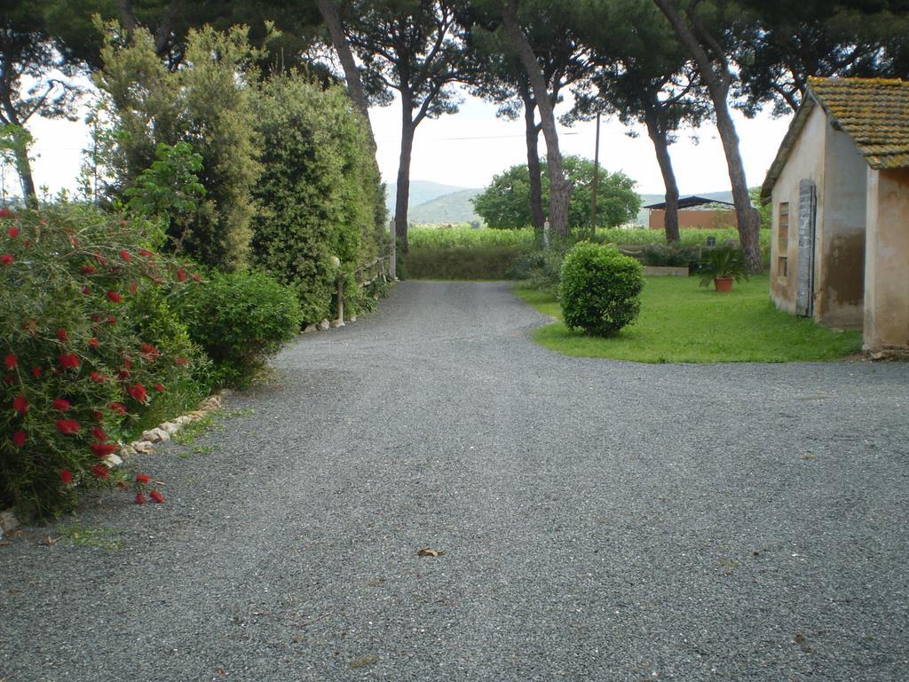 Agriturismo Ternova Alberese Exterior foto